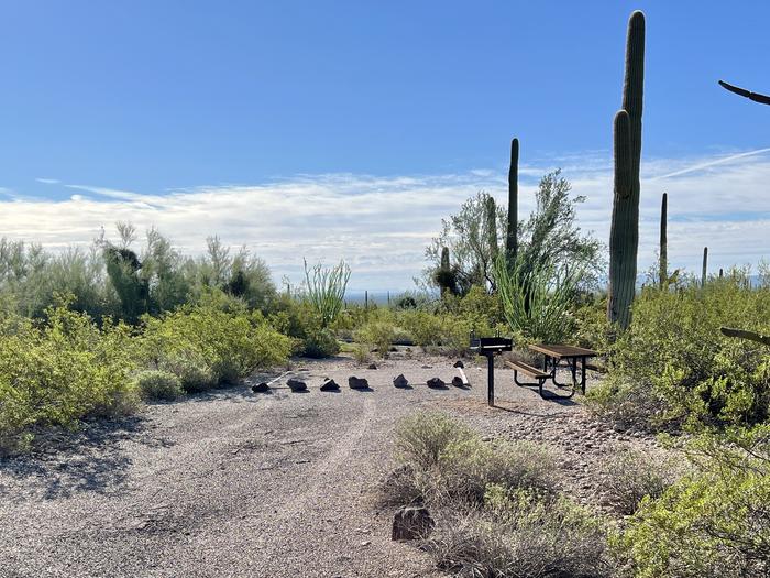 Pull-in parking tent camping site with picnic table and grill. Surrounded by cactus and desert vegetation.The entrance into Site 198