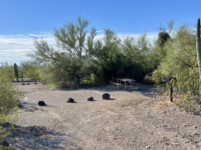 Pull-in parking tent camping site with picnic table and grill. Surrounded by cactus and desert vegetation.The entrance into Site 199