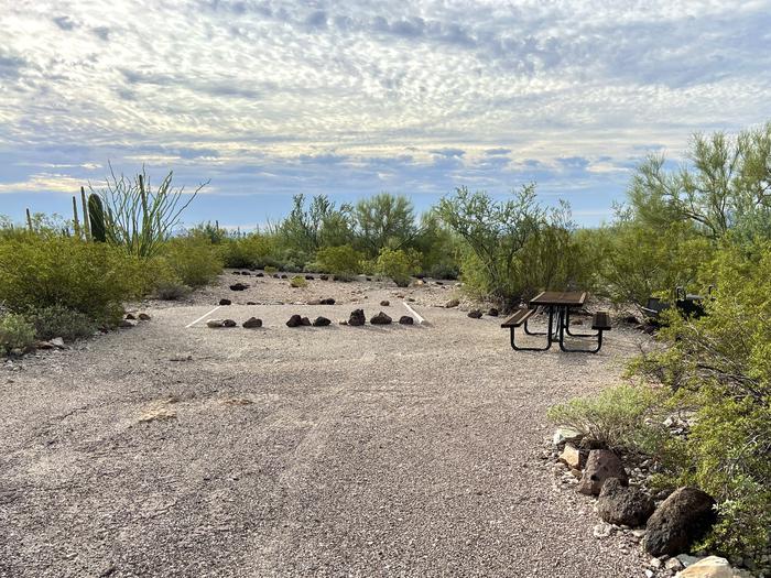 Pull-in parking tent camping site with picnic table and grill. Surrounded by cactus and desert vegetation.The entrance into Site 201