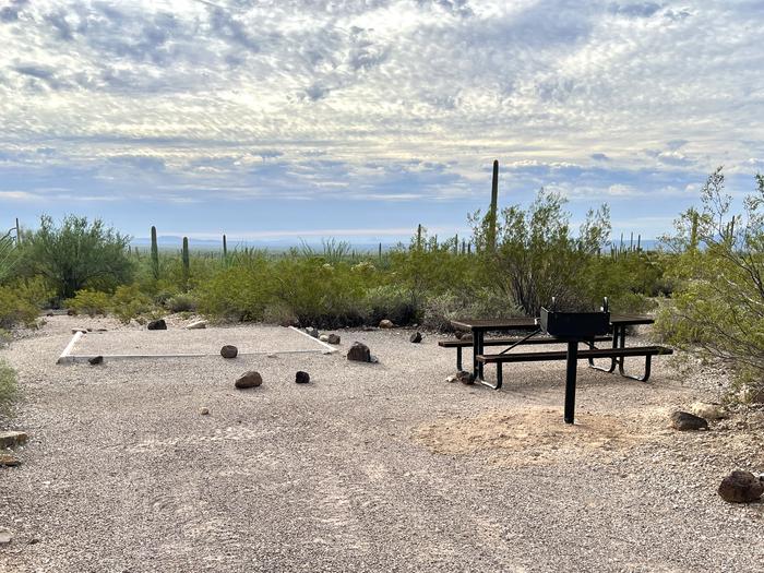 Pull-in parking tent camping site with picnic table and grill. Surrounded by cactus and desert vegetation.The entrance into Site 206