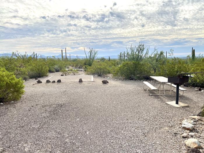 Pull-in parking tent camping site with picnic table and grill. Surrounded by cactus and desert vegetation.The entrance into Site 208