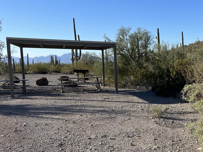 Large open parking area with sunshade surrounded by cactus and desert vegetation.Group Site 2