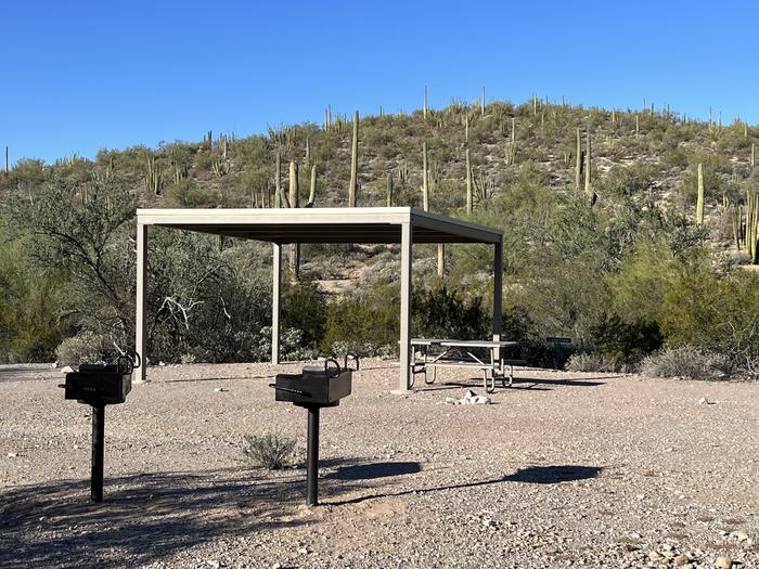 Small group tent camping area with sunshade, picnic table, and grill surrounded by cactus and desert vegetation.Group Site 4