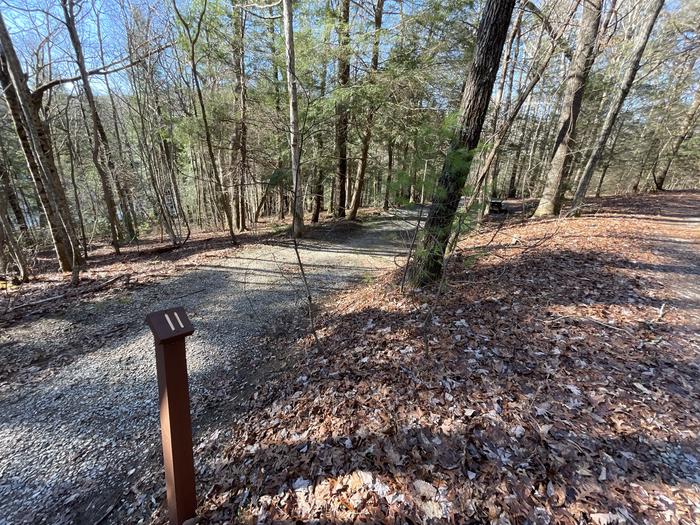 A photo of Site 11 of Loop Upper at Lake Conasauga Campground with Picnic Table, Fire Pit, Shade, Tent Pad, Lantern Pole