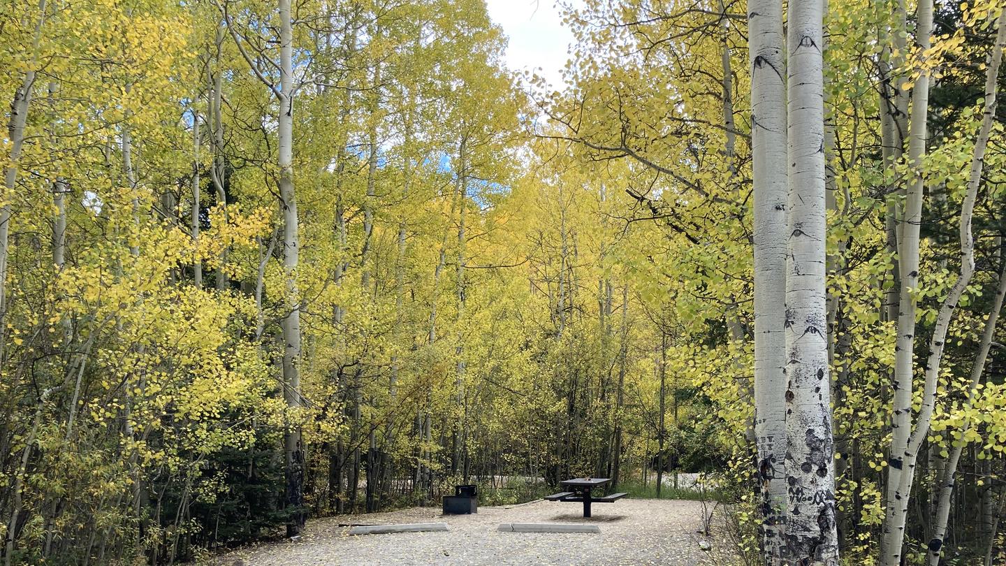 Campground, fall foliage, picnic table, fire pitFall foliage in Cascade Campground