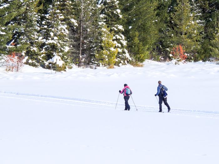 Visitors ski across a frozen lake in Voyageurs National Park