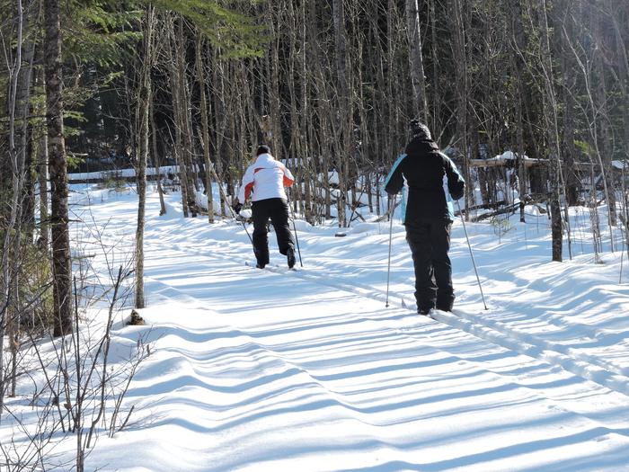 Cross country skiers enjoying winter trails at VNP