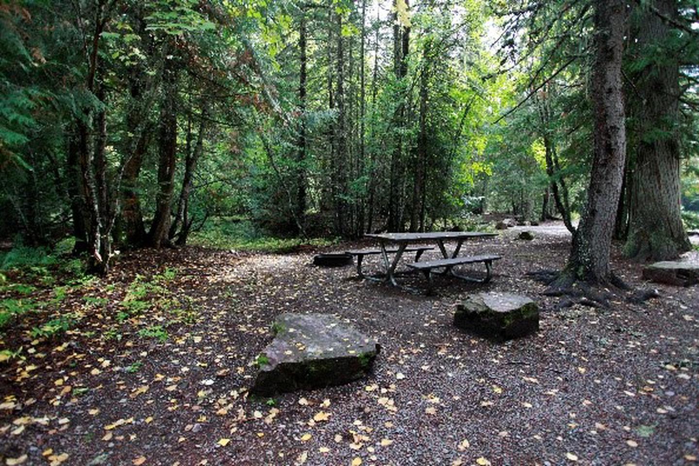 Gravel driveway covered with brown leaves in a wooded campsite with picnic table and fire ring.