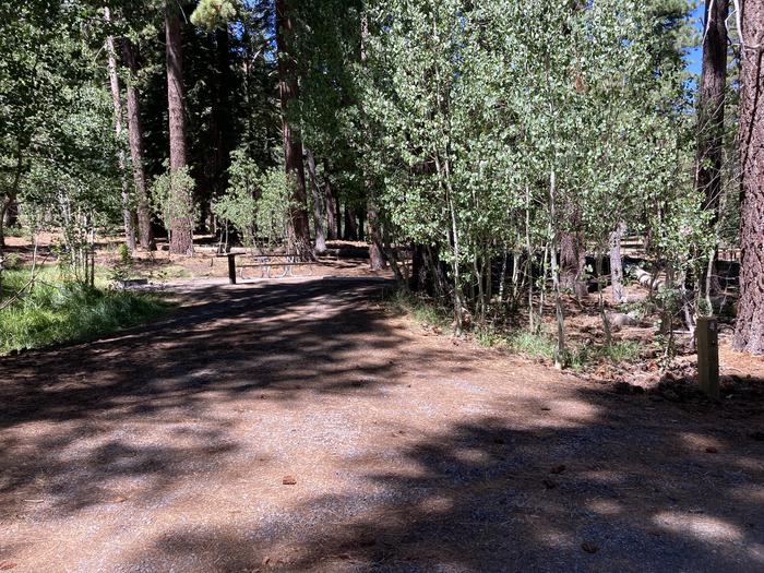 A photo of Site 04 of Loop Loop A at Lookout Campground with Picnic Table