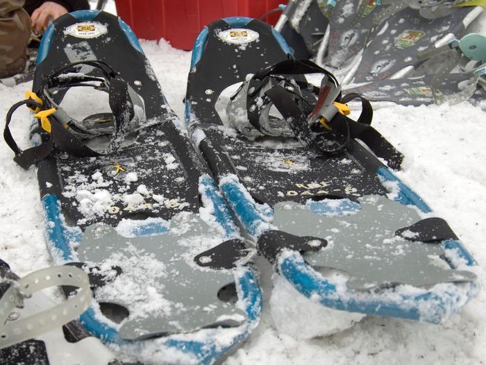 Snowshoes covered in snow 