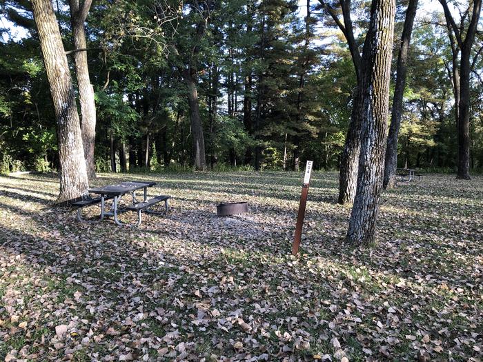 A photo of Site C04 of Loop COTTONWOOD CAMPGROUND (IA) at COTTONWOOD CAMPGROUND (IA) with Picnic Table, Fire Pit
