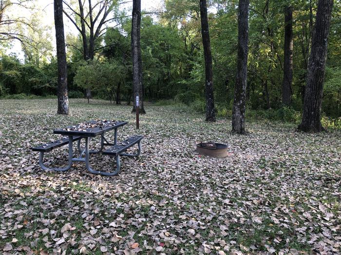 A photo of Site C08 of Loop COTTONWOOD CAMPGROUND (IA) at COTTONWOOD CAMPGROUND (IA) with Picnic Table, Fire Pit, Shade