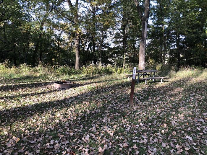 A photo of Site C03 of Loop COTTONWOOD CAMPGROUND (IA) at COTTONWOOD CAMPGROUND (IA) with Picnic Table, Fire Pit