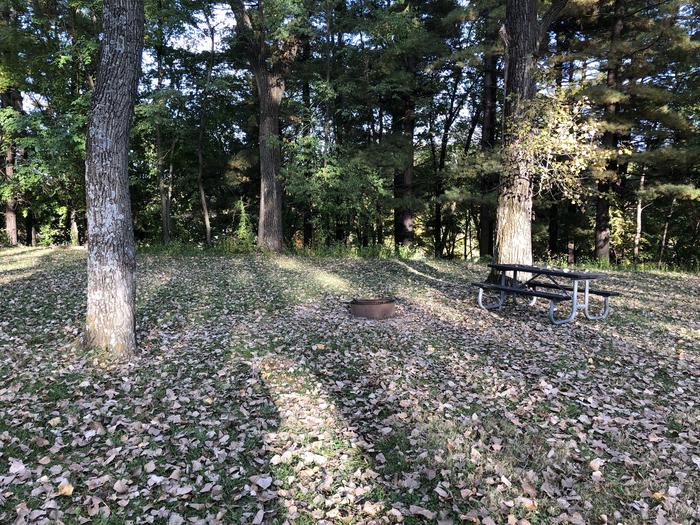 A photo of Site C05 of Loop COTTONWOOD CAMPGROUND (IA) at COTTONWOOD CAMPGROUND (IA) with Picnic Table, Fire Pit