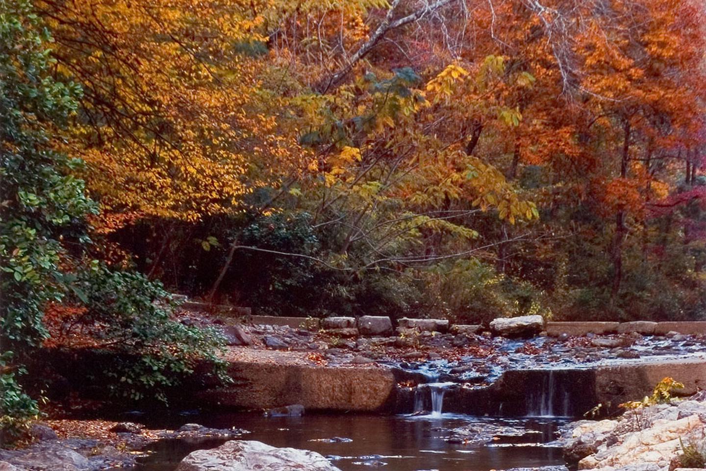 Fall colors surround Gulpha CreekFall colors over Gulpha Creek