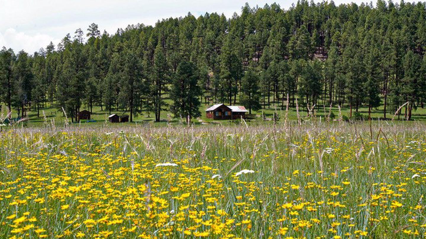 Caldwell from meadowA short walk into the meadow across from Caldwell Cabin.  
