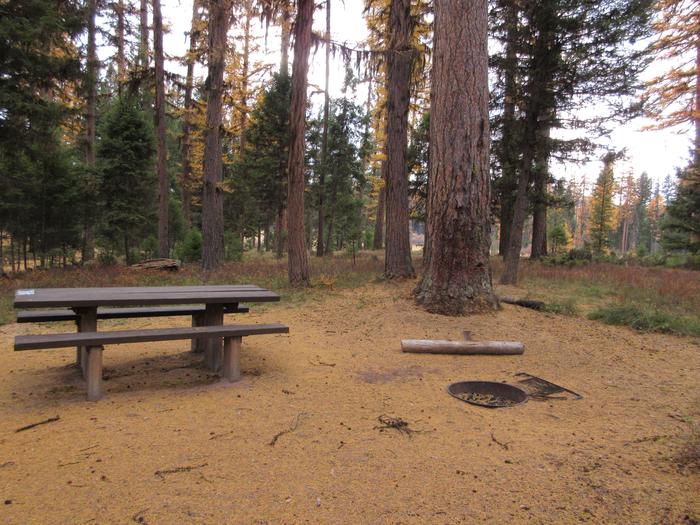 A photo of Site SLS28 in Loop 3 at Seeley Lake Lolo Campground (MT) with picnic table, fire ring.