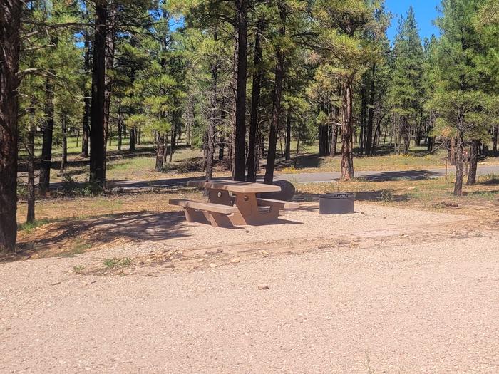 BLACK BEAR LOOP, SINGLE CAMPSITE B01, WITH A PICNIC TABLE AND A FIRE RING