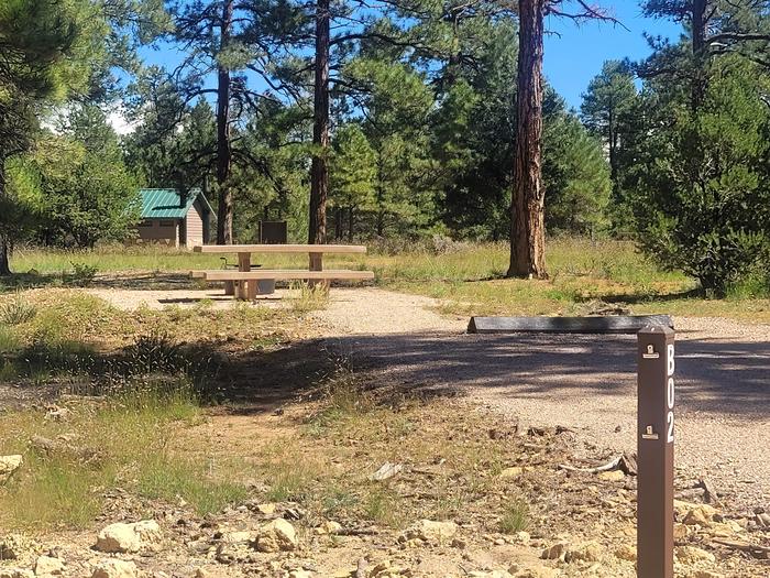 BLACK BEAR LOOP, SINGLE CAMPSITE B02, WITH A PICNIC TABLE AND A FIRE RING