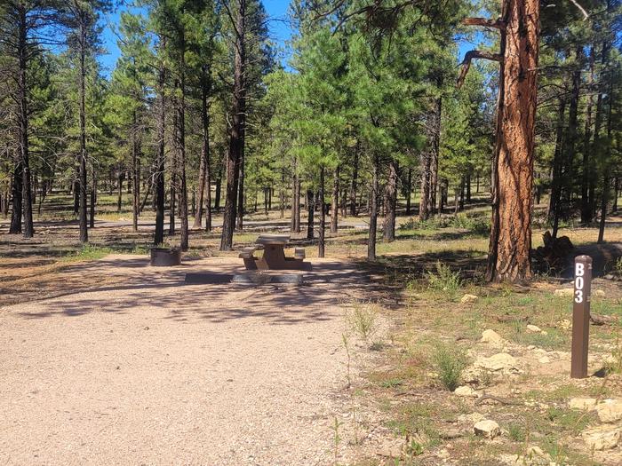 BLACK BEAR LOOP, SINGLE CAMPSITE B03, WITH A PICNIC TABLE AND A FIRE RING