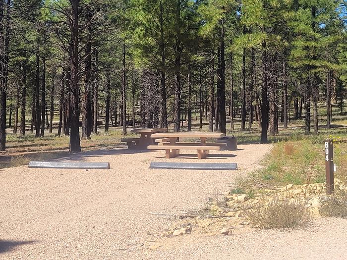 BLACK BEAR LOOP, DOUBLE CAMPSITE B04, WITH TWO PICNIC TABLES AND A FIRE RING AND TWO PARKING SPACESBLACK BEAR LOOP, DOUBLE CAMPSITE B04, WITH TWO PICNIC TABLES AND AFIRE RING AND TWO PARKING SPACES