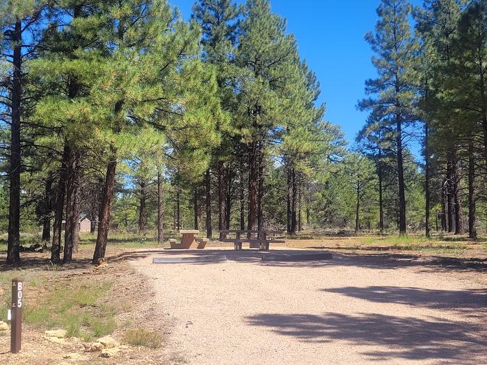 BLACK BEAR LOOP, DOUBLE CAMPSITE B05, WITH TWO PICNIC TABLES AND A FIRE RING AND TWO PARKING SPACES
