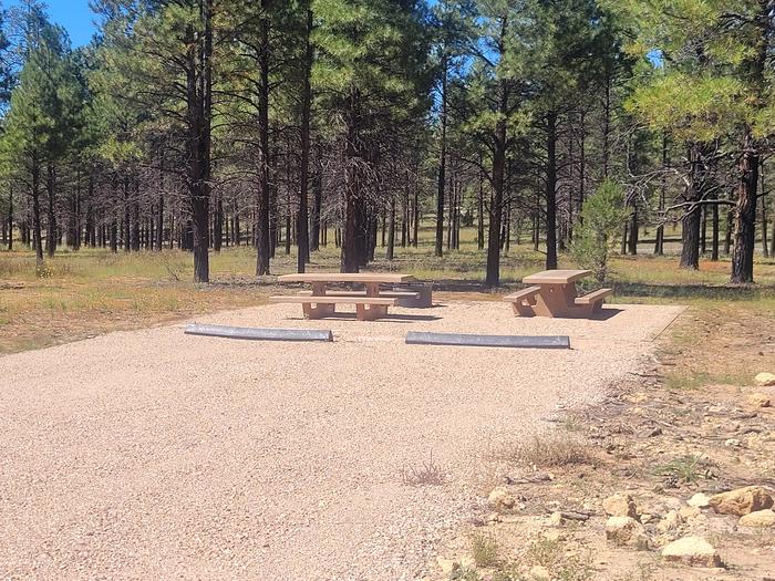 BLACK BEAR LOOP, DOUBLE CAMPSITE B08, WITH TWO PICNIC TABLES AND A FIRE RING AND TWO PARKING SPACES