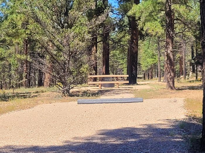 BLACK BEAR LOOP, SINGLE CAMPSITE B11, WITH A PICNIC TABLES AND A FIRE RING