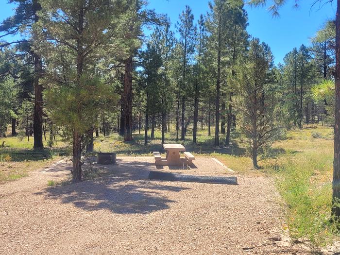 BLACK BEAR LOOP, SINGLE CAMPSITE B12, WITH A PICNIC TABLES AND A FIRE RING