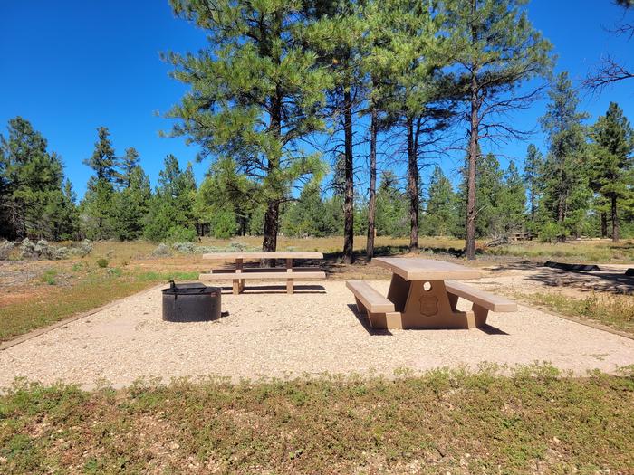 BLACK BEAR LOOP, DOUBLE CAMPSITE B14, WITH TWO PICNIC TABLES AND A FIRE RING AND TWO PARKING SPACES