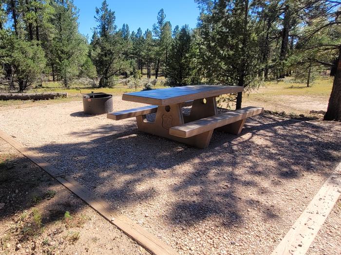 BLACK BEAR LOOP, SINGLE CAMPSITE B15, WITH A PICNIC TABLES AND A FIRE RING