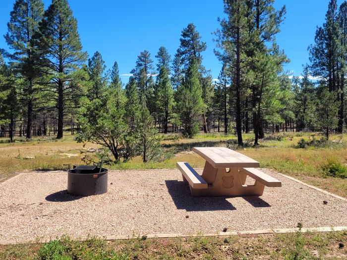 BLACK BEAR LOOP, SINGLE CAMPSITE B17, WITH A PICNIC TABLES AND A FIRE RING