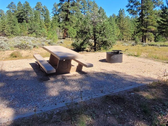 BLACK BEAR LOOP, SINGLE CAMPSITE B19, WITH A PICNIC TABLES AND A FIRE RING