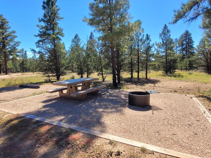 BLACK BEAR LOOP, SINGLE CAMPSITE B21, WITH A PICNIC TABLES AND A FIRE RING
