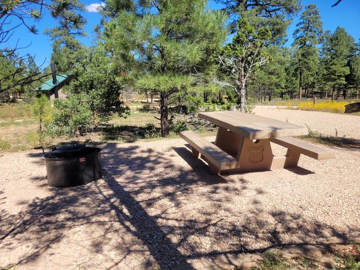 BLACK BEAR LOOP, SINGLE CAMPSITE B22, WITH A PICNIC TABLES AND A FIRE RING
