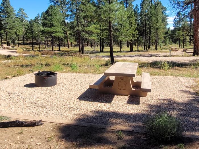 BLACK BEAR LOOP, SINGLE CAMPSITE B23, WITH A PICNIC TABLES AND A FIRE RING