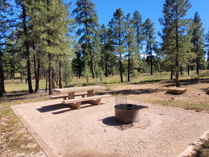 BLACK BEAR LOOP, SINGLE CAMPSITE B24, WITH A PICNIC TABLES AND A FIRE RING
