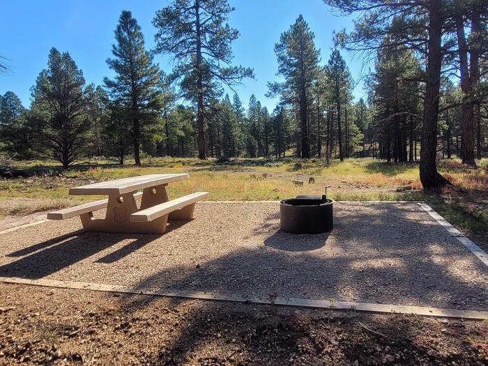 BLACK BEAR LOOP, SINGLE CAMPSITE B25, WITH A PICNIC TABLES AND A FIRE RING