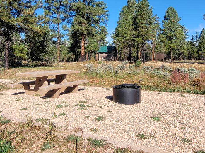BLACK BEAR LOOP, SINGLE CAMPSITE B26, WITH A PICNIC TABLES AND A FIRE RING