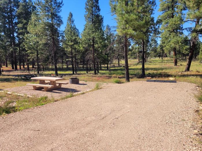 BLACK BEAR LOOP, SINGLE CAMPSITE B27, WITH A PICNIC TABLES AND A FIRE RING AND PARKING SPACE