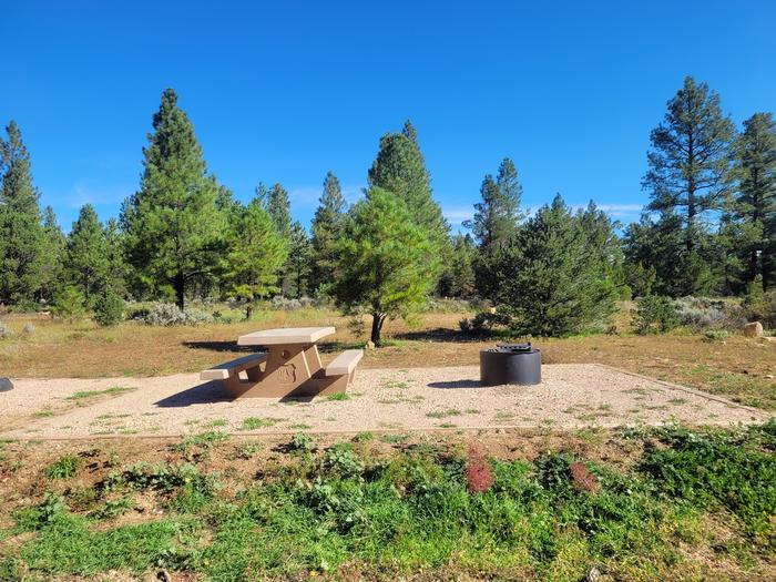 BLACK BEAR LOOP, SINGLE CAMPSITE B29, WITH A PICNIC TABLES AND A FIRE RING