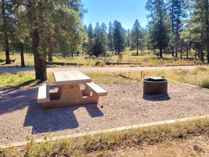 BLACK BEAR LOOP, SINGLE CAMPSITE B30, WITH A PICNIC TABLES AND A FIRE RING