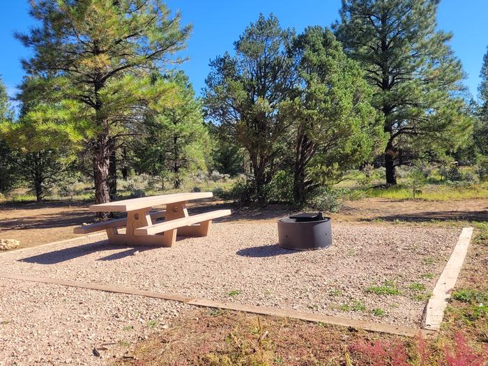 BLACK BEAR LOOP, SINGLE CAMPSITE B31, WITH A PICNIC TABLES AND A FIRE RING