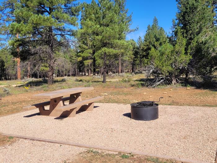 BLACK BEAR LOOP, SINGLE CAMPSITE B32, WITH A PICNIC TABLES AND A FIRE RING