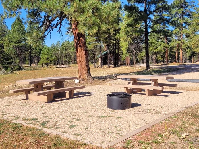 BLACK BEAR LOOP, DOUBLE CAMPSITE B33, WITH TWO PICNIC TABLES AND A FIRE RING AND TWO PARKING SPACES