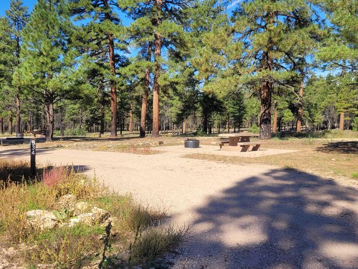 BLACK BEAR LOOP, SINGLE CAMPSITE B34, WITH A PICNIC TABLES AND A FIRE RING