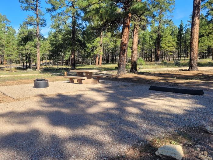 BLACK BEAR LOOP, SINGLE CAMPSITE B35, WITH A PICNIC TABLE AND A FIRE RING
