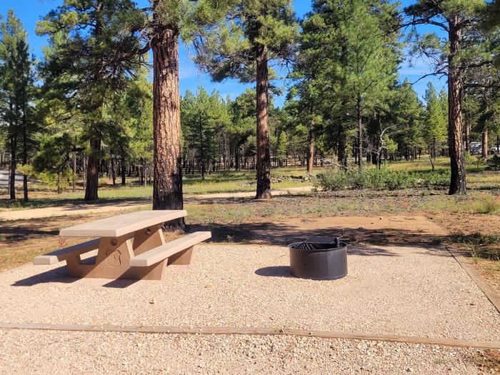 BLACK BEAR LOOP, SINGLE CAMPSITE B37, WITH A PICNIC TABLES AND A FIRE RING