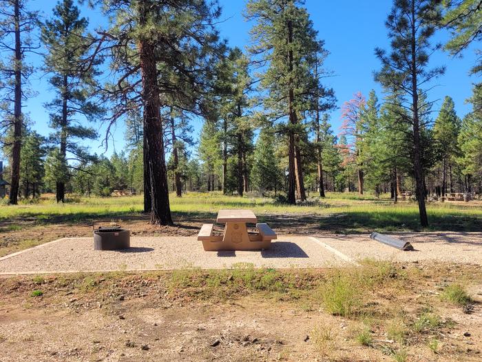 BLACK BEAR LOOP, SINGLE CAMPSITE B38, WITH A PICNIC TABLES AND A FIRE RING