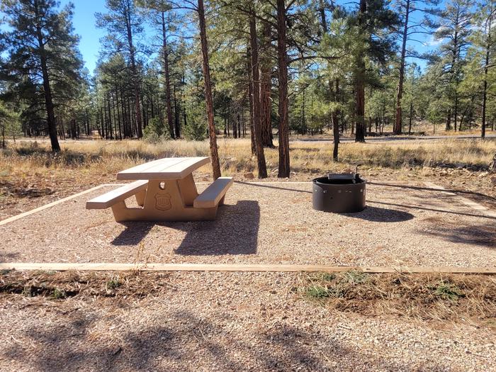 ELK LOOP, SINGLE CAMPSITE E01, WITH A PICNIC TABLES AND A FIRE RING